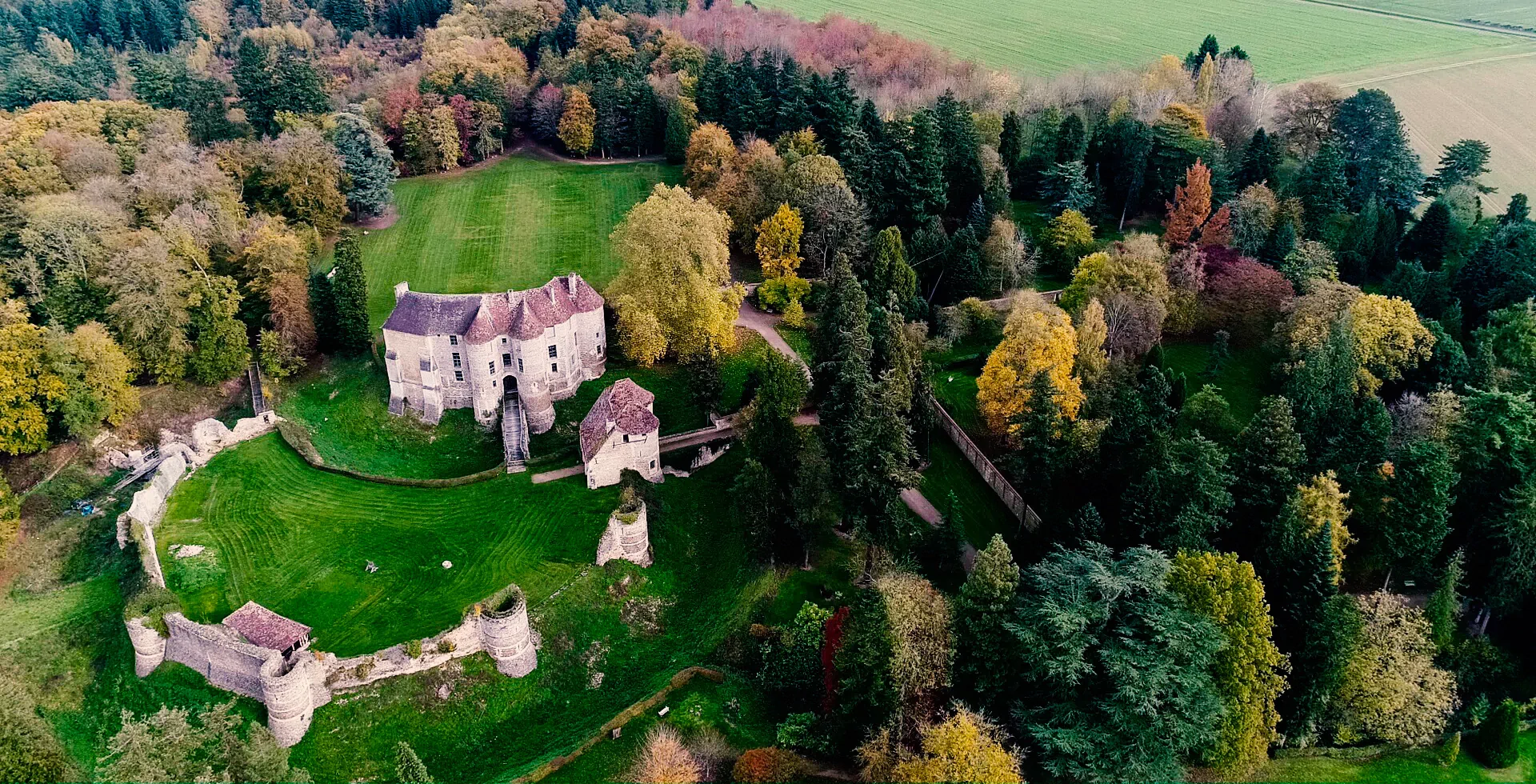 Une arche incurvée faite de rondins empilés se dresse dans une zone boisée au feuillage vert luxuriant et à la lumière du soleil.