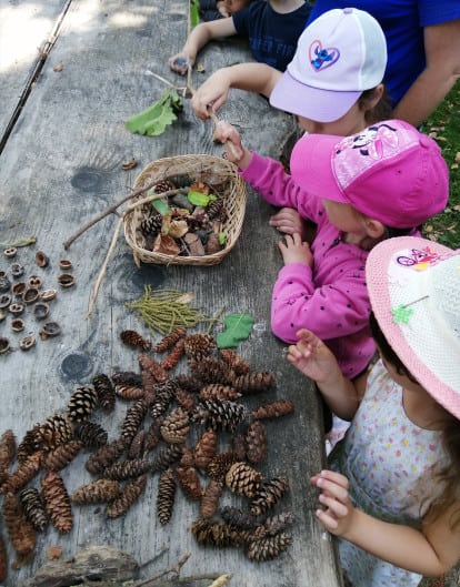 Enfants examinant une variété de pommes de pin, de noix et de feuilles sur une table en bois à l'extérieur. Ils portent des chapeaux et semblent engagés dans l'activité.