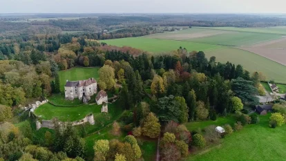 Vue aérienne d'une ancienne ruine du château entouré d'arbres et de champs verts luxuriants sous un ciel couvert.